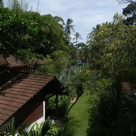 Chalet Y Cabinas Hibiscus Cahuita Bagian luar foto