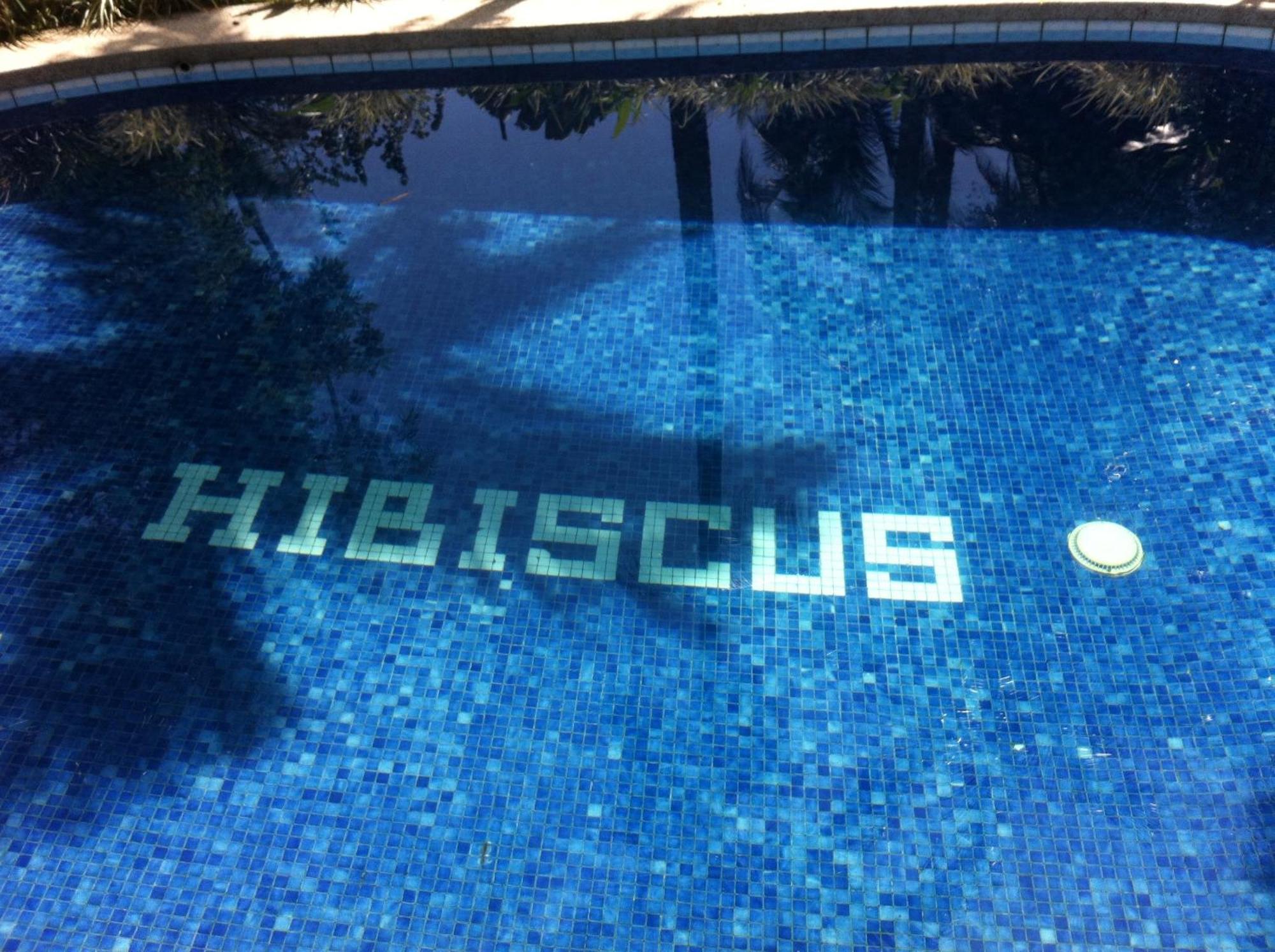 Chalet Y Cabinas Hibiscus Cahuita Bagian luar foto