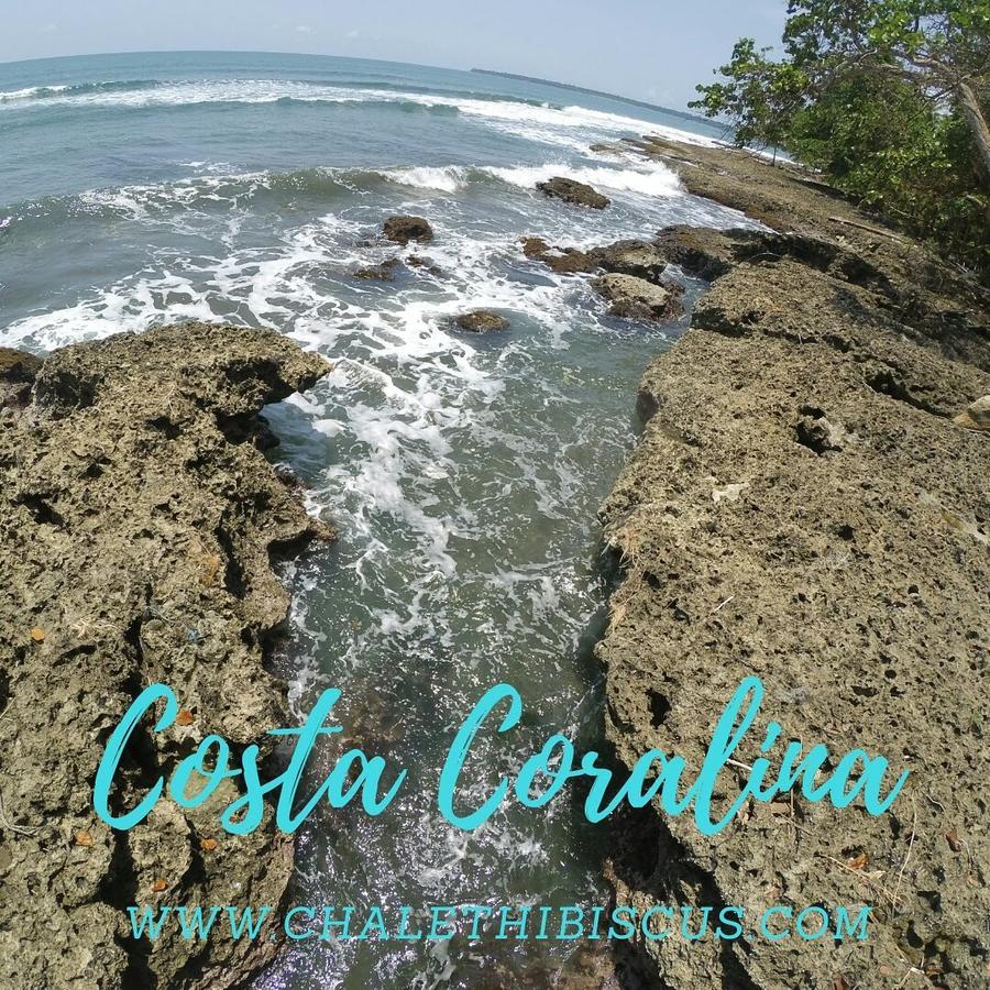 Chalet Y Cabinas Hibiscus Cahuita Bagian luar foto