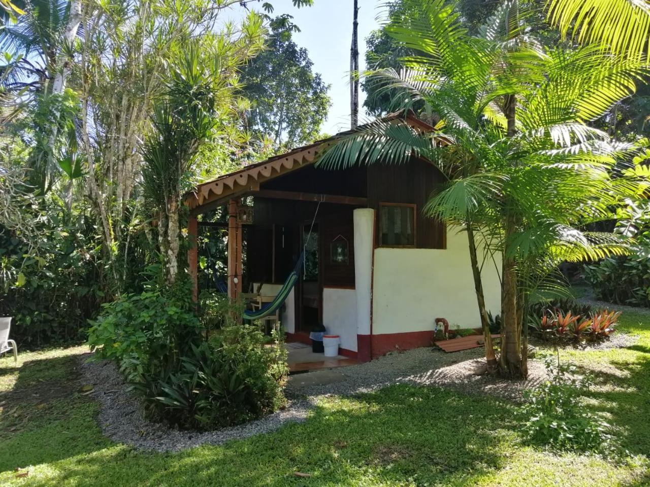 Chalet Y Cabinas Hibiscus Cahuita Bagian luar foto