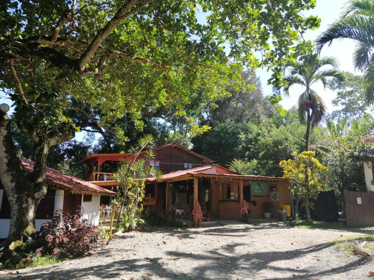 Chalet Y Cabinas Hibiscus Cahuita Bagian luar foto